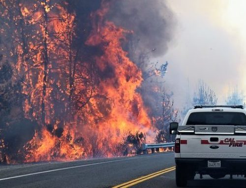 Visiting scholar has eyes on the road ― literally ― in search of wildfire impacts